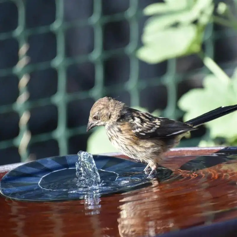 Mini Solar Water Fountain Pool Pond - Ideal for Small Pools,Ponds and Gardens